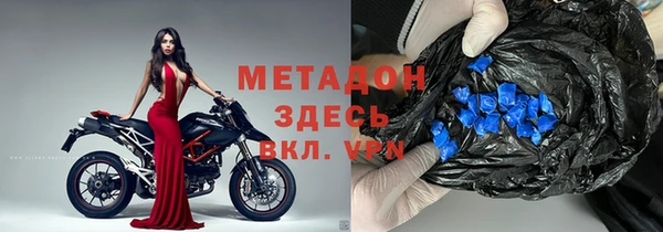 прущие грибы Белокуриха