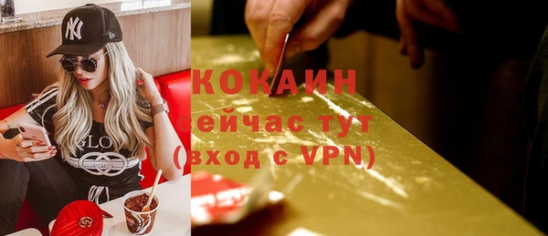 прущие грибы Белокуриха
