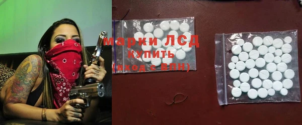 прущие грибы Белокуриха