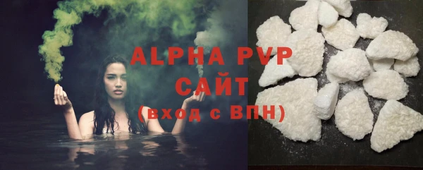 прущие грибы Белокуриха