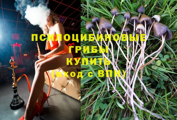 прущие грибы Белокуриха