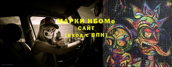 прущие грибы Белокуриха